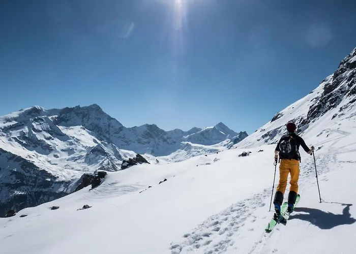 Coquelicot By Interhome Zinal